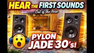 HEAR IT: Pylon's for the FIRST Time &ndash; Massive 16&rdquo; Woofer Test! #hifi