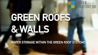 Water storage within the green roof systems