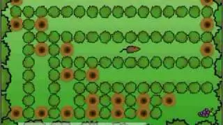 Vole Hole #1