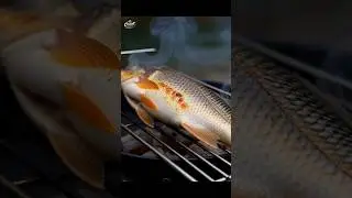 Catch, Grill & Relax: Solo Camping ASMR 🎣🔥 #viral