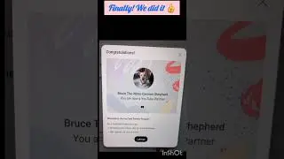 Success Story of my German shepherd 👍🎉 #bruce #animallover #whitegermanshepard #pet #dogs #monetize