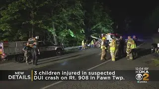 3 children injured in suspected DUI crash in Fawn Township