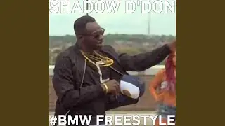 #BMW Freestyle