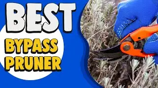 Best Bypass Pruner in 2022 &ndash; Cheap & Exclusive Products Guide!