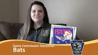 Game Commission Storytime: Bats