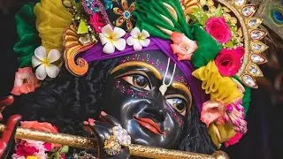 || Vrindavan Mein Milenge|| O Mohana Pyare O Mohana