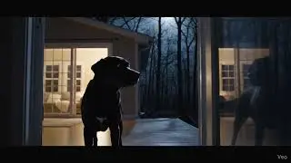 Scary TRUE Dog Encounter Horror Stories