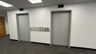 Schindler TXPress High-Rise Elevator At Forest Hills Tower In Kew Gardens Queens NYC (11/28/2025)