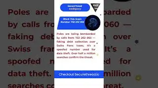 Scam Alert: 732 202 060 Targets Poles with Fake Debt Claims