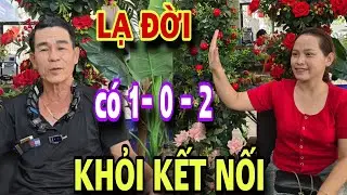 LẠ ĐỜI KẾT NỐI CÓ 1 0 2 gặp gái trẻ nhõng nhẽo là căng luôn á