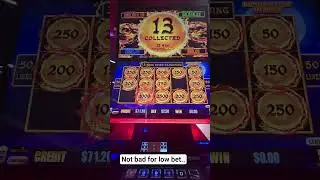 Dragon Link surprised....#casino#slot#cruise#