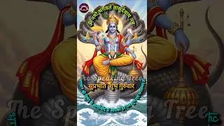 Shubh Guruwar | Shubh Guruwar Status | #shorts #ytshorts