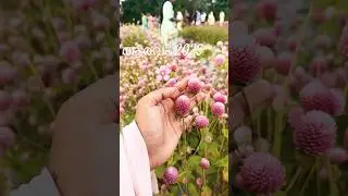 Aaravam 2025🌸 | St.Xaviers College | Thumba #trendingshorts #trivandrum #flowershow #placestovisit