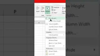 Change Row Height in Excel in 5 Seconds!