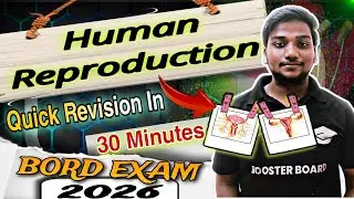 Human Reproduction in 30 Minutes | Class 12 Biology Board Exam 2026 | Booster Board