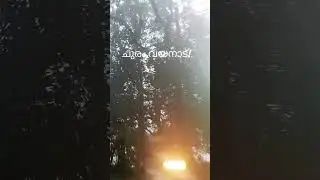 Churam,Wayanad#picnic#tour#nature #forest#fog
