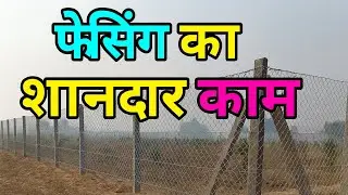बूढ़सिंहवाला, मटीली में जाली लगाने का काम #barbedwirefencing #chainlinkfencemachine 