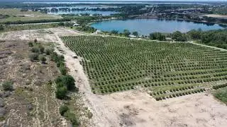 48+-Acre Lake McCoy/Huntley Grove/R1A Development Site Lake Placid,FL!