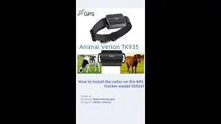 How to install the animal collar on the GPS Tracker model TK935?