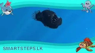 Ruby & Friends Ocean adventure #smartstepslk  #oceanlife  #srilanka  #kids  #magazines  #marinelife