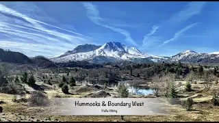 Hiking Hummocks to Boundary West to Johnston Ridge Observatory/ MSH