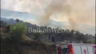 Zjarr i madh n&euml; nj&euml; parcele n&euml; Volloder t&euml; Sarand&euml;s, digjen qindra rr&euml;nj&euml; ulliri dhe vreshtari