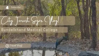 Travel Vlog 0.1 | City Forest, Sagar, Near Bundelkhand Medical College Sagar, MP #travelvlog #medico