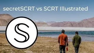 secretSCRT против SCRT Illustrated &mdash; транзакция, сохраняющая конфиденциальность, против публично видимой транзакции