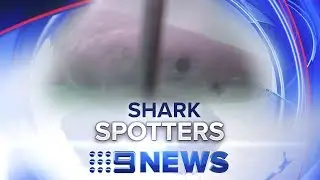New shark spotting tactics reduce attacks in Cape Town | Nine News Australia
