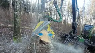 Riebli Forst AG mit Vollernter John Deere 1270G 🇨🇭🪓🌲