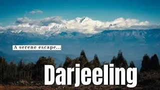 Going Green in Darjeeling: The ESG Journey of TIEEDI.