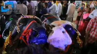 Saidabad Sadar | Yadav's Sadar Sayyata | Saidabad sadar | Sadar Festival in Hyderabad