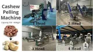 Cashew Nut Testa Peeling Machine | TTQ Vietnam Machines