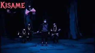 Ecto  - Activité