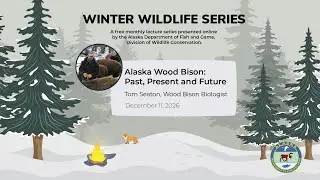 Winter Wildlife Series: Alaska's Wild Wood Bison with Tom Seaton