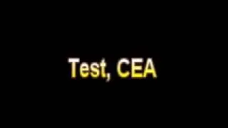 What Is The Definition Of Test, CEA