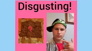 Meat Popcicle Review!