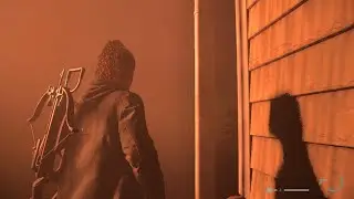Alan Wake 2 Glitch