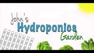 Keeping you outdoor hydroponics going in hot weather (Hydroponics Cilantro Update)