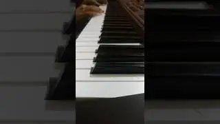 Kausaiti Zindagi Kay I Anupre Romantic Music I Percussionist Piano I Panthkrit Kaur
