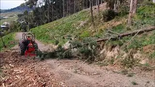 Wallenstein FX85 Skidding Winch hauling logs off a hillside, Nelson