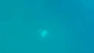 Diving in Rhodes- Greece (Alexandre Kuzolitz)