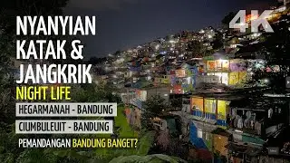 Orkestra Alam di Keheningan Malam Tepi Sungai Cikapundung Bandung - Gang Ehom dan Lembur Katumbiri
