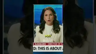 Tulsi Gabbard CALLS OUT the FAKE News 