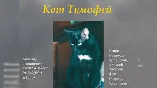 Кот Тимофей  (Надежда Урбанская и Алексей Захаров ALEKS BCH & Suno)