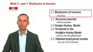 CNS2.1 - Biophysics of neurons