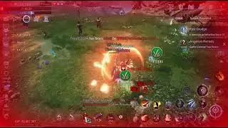 A bug in MIR4? FREE PK in common maps