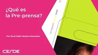 video preprensa