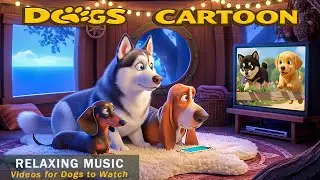 Cartoons for Dogs: Calming Entertainment Videos for Hyperactive Dogs Home Alone with Relaxing Music