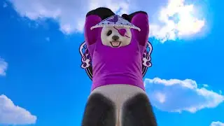 1 BIG reason Paul sucks against the Bears!!!